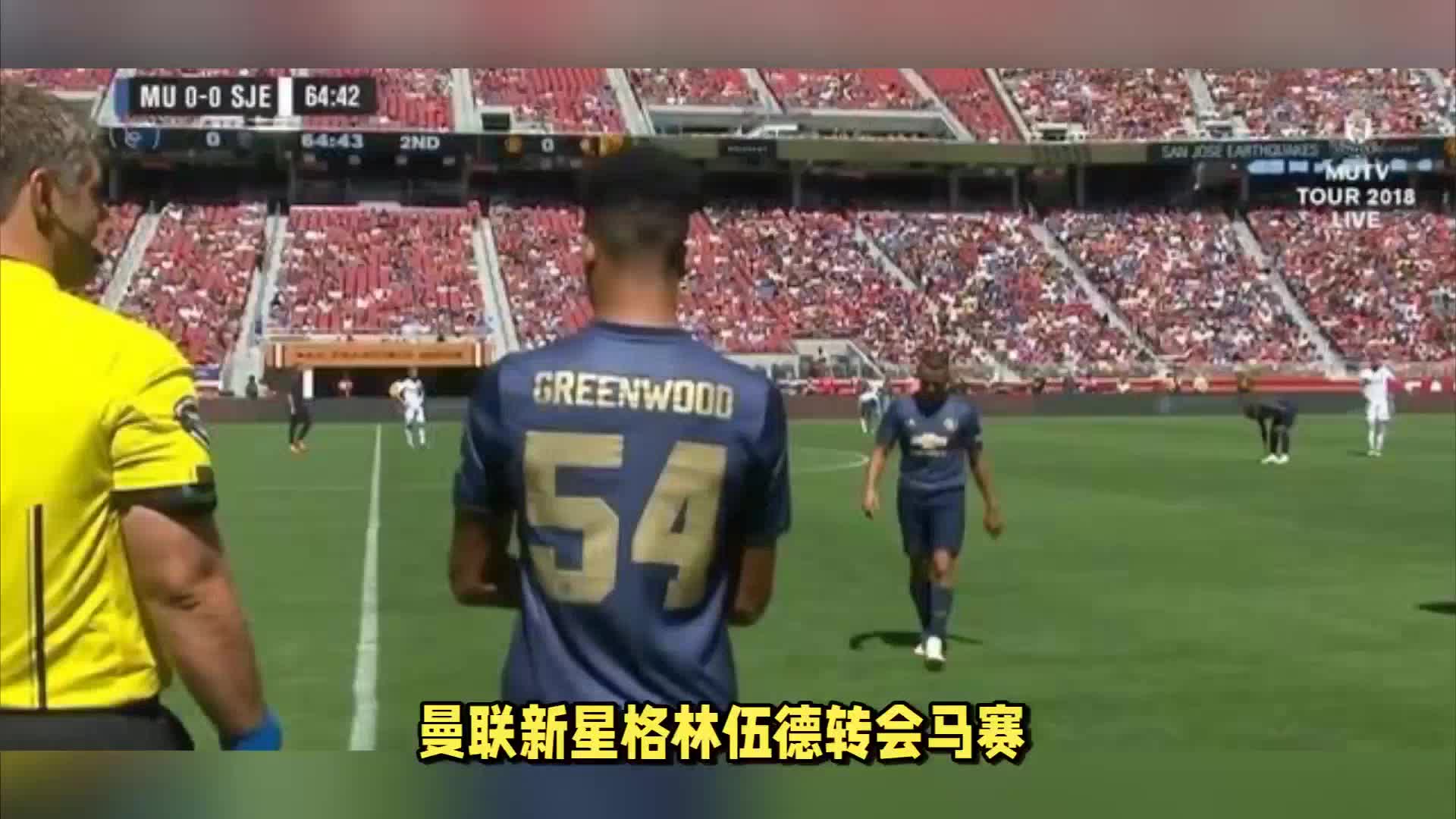 在廷伯
