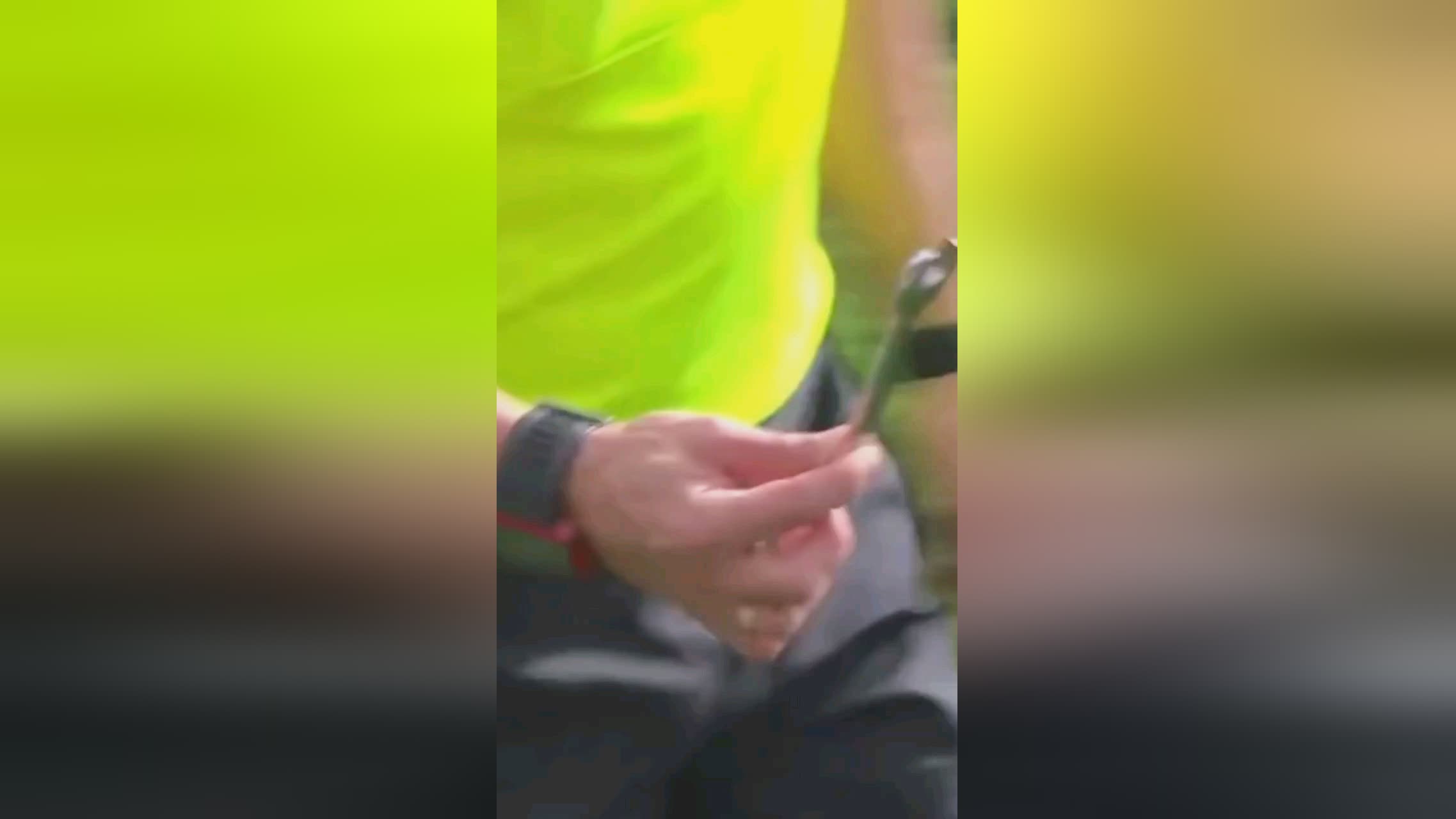作为世