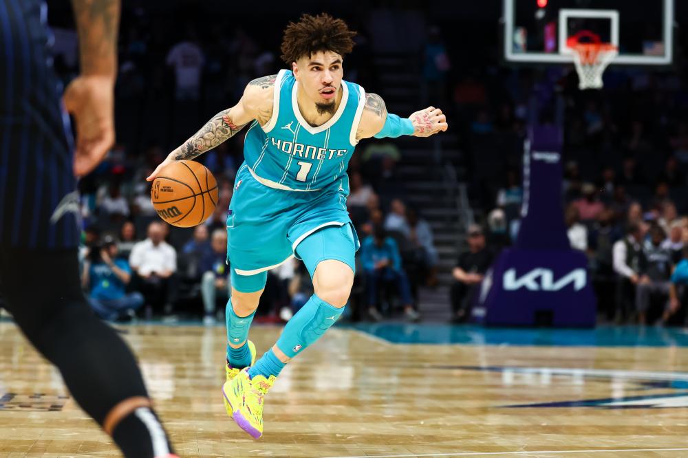 灰熊小牛争 灰熊小牛争