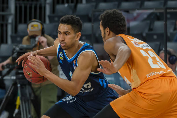 不仅展示了 不仅展示了